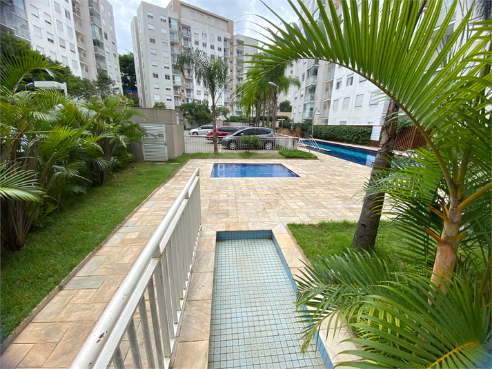 Foto REO1077622