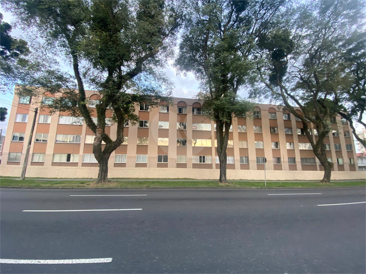 Foto REO1077624