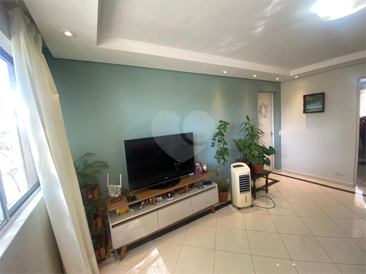 Foto REO1077624