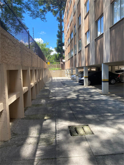Foto REO1077624
