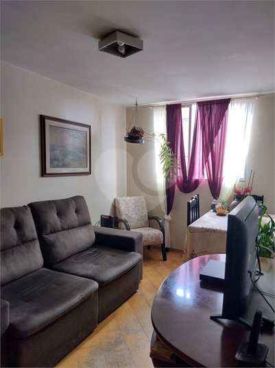 Foto REO1077647