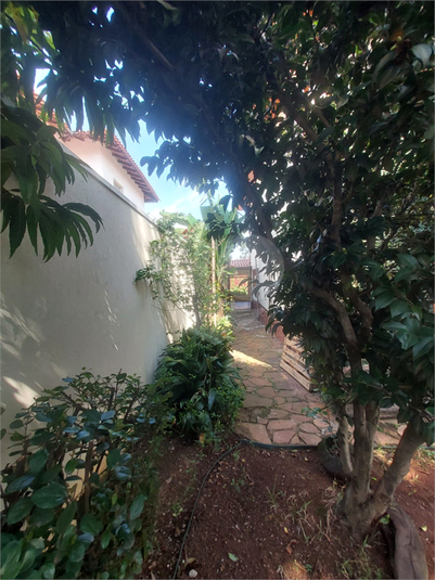 Foto REO1077670