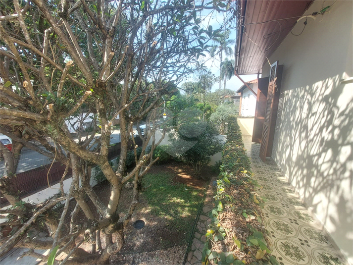 Foto REO1077670
