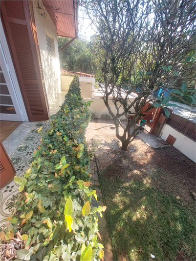 Foto REO1077670
