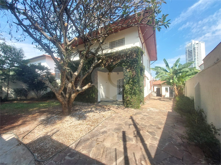 Foto REO1077670
