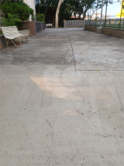 Foto REO1077682