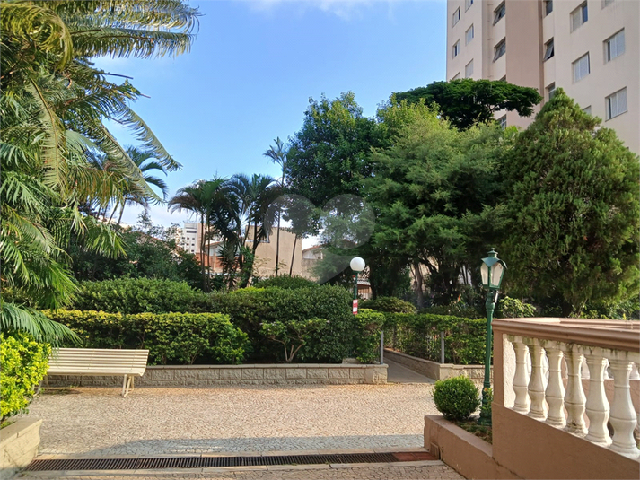 Foto REO1077682