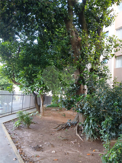 Foto REO1077682
