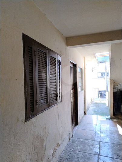 Foto REO1077688