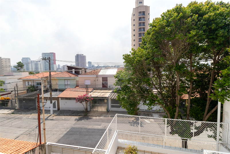Foto REO1077693