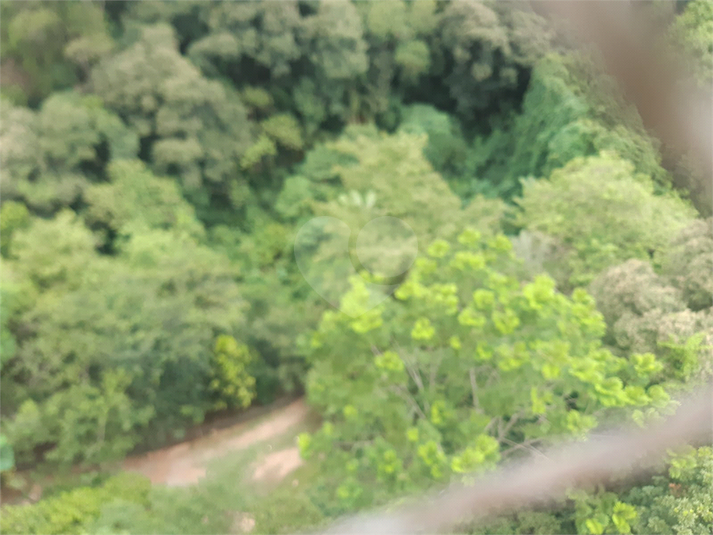 Foto REO1077696