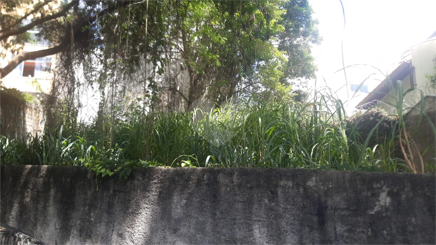 Foto REO1077696