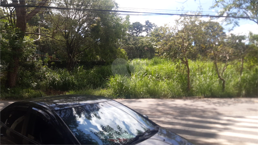 Foto REO1077696