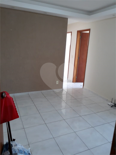 Foto REO1077710