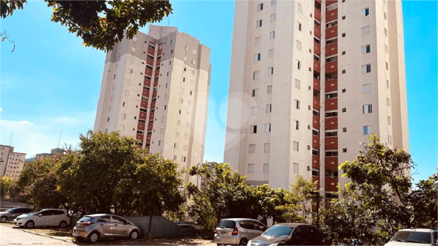 Foto REO1077713