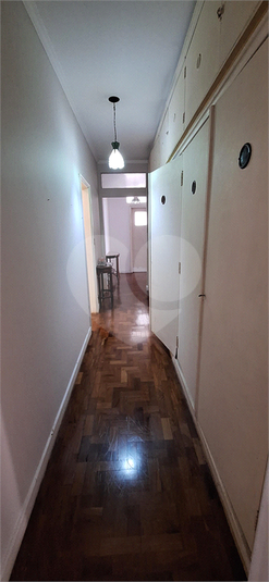 Foto REO1077719