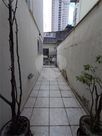 Foto REO1077725