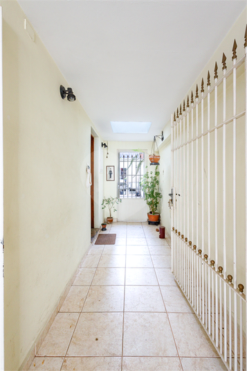 Foto REO1077725