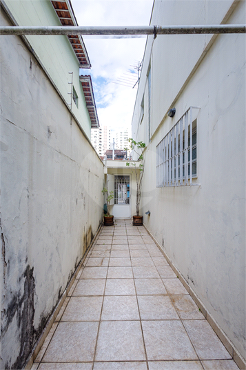 Foto REO1077725