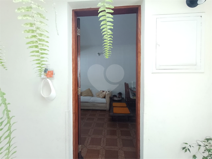 Foto REO1077725