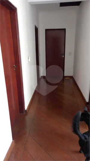 Foto REO1077729