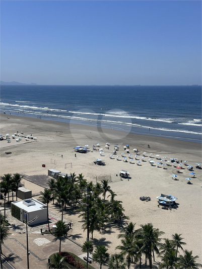 Foto REO1077752