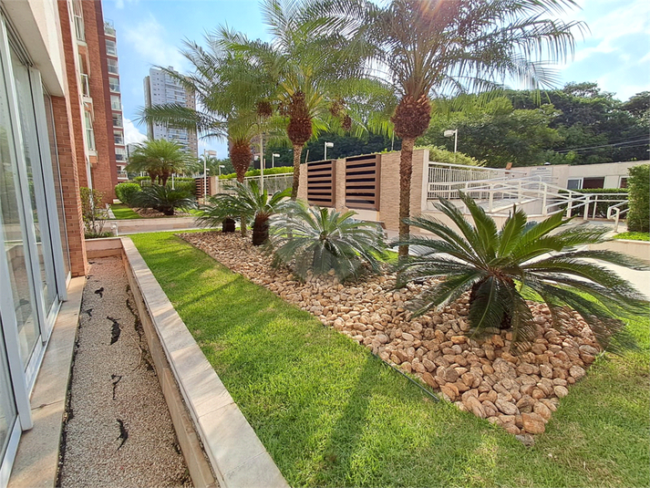 Foto REO1077755