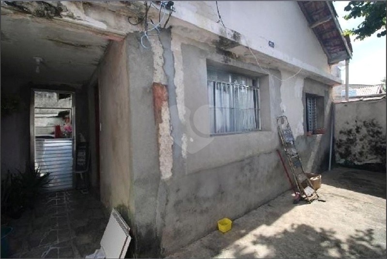 Foto REO1077793