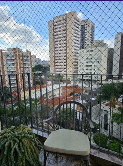 Foto REO1077801