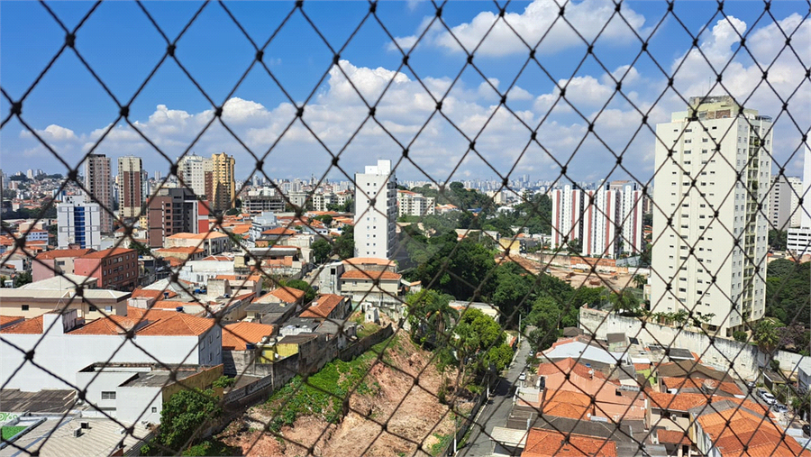 Foto REO1077814