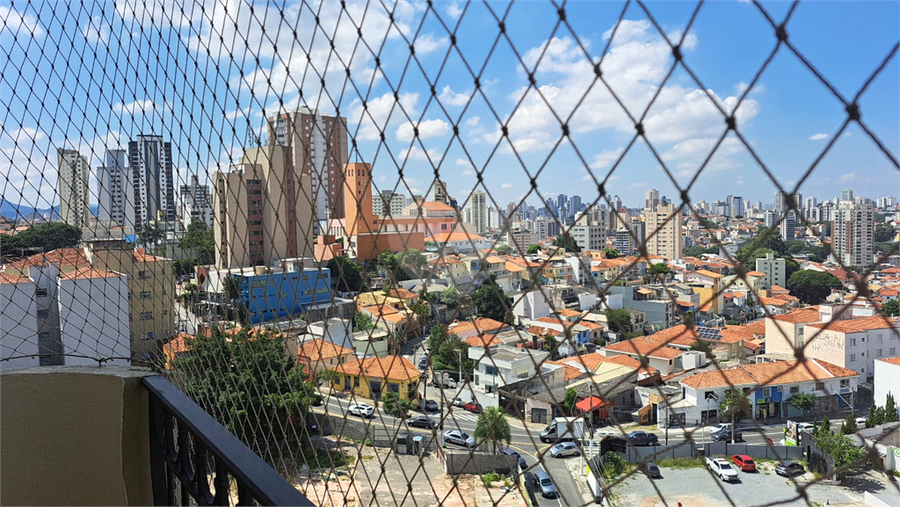 Foto REO1077814