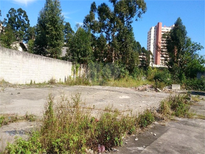 Foto REO1077838