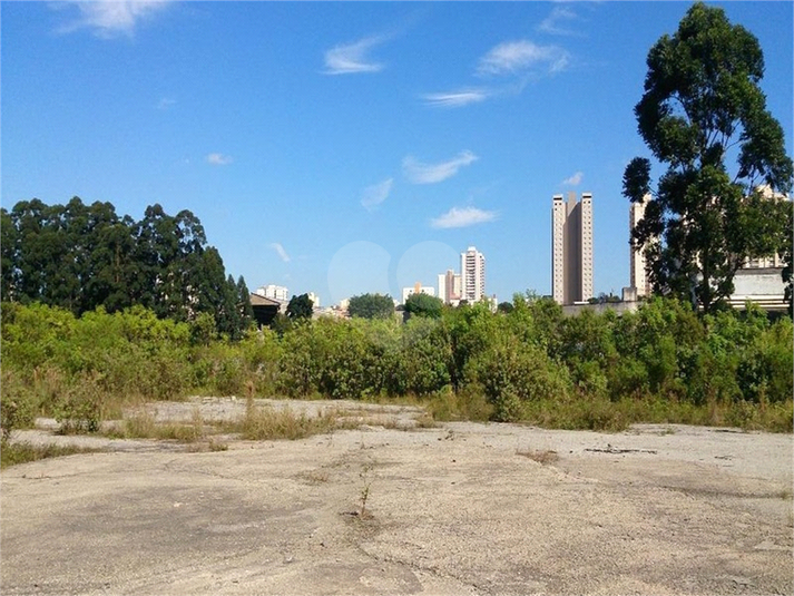 Foto REO1077838