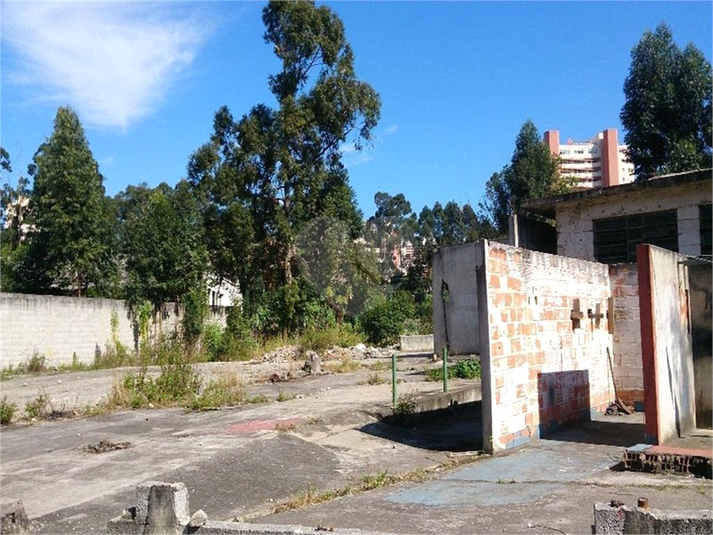 Foto REO1077838