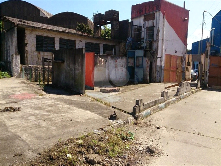 Foto REO1077838