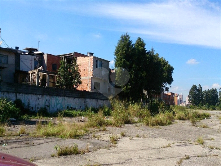 Foto REO1077838