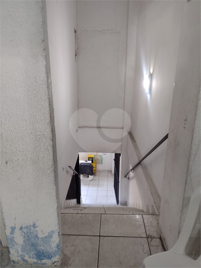 Foto REO1077844