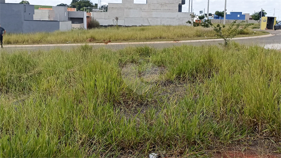 Foto REO1077845