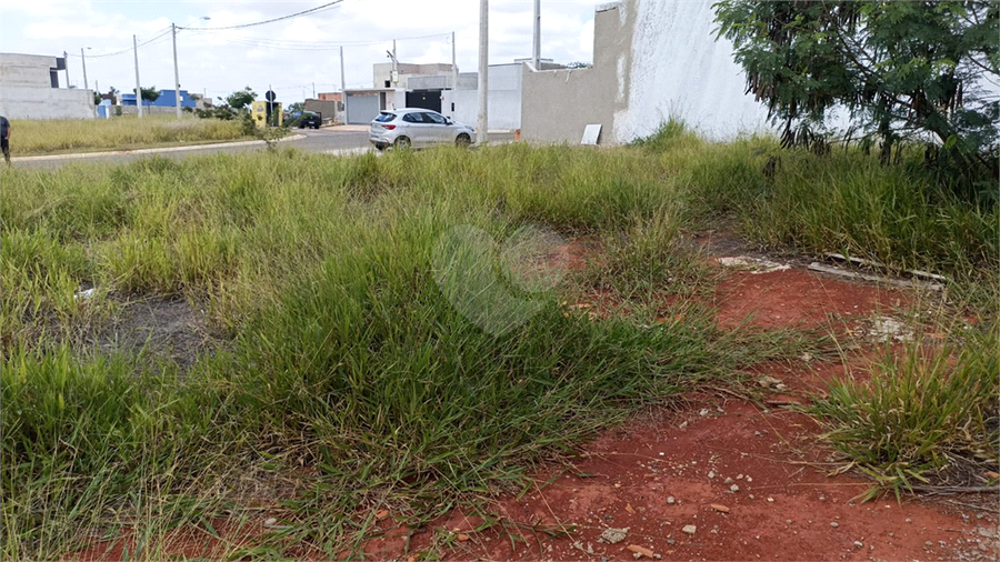 Foto REO1077845