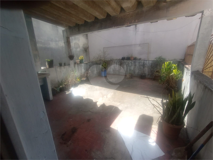 Foto REO1077850