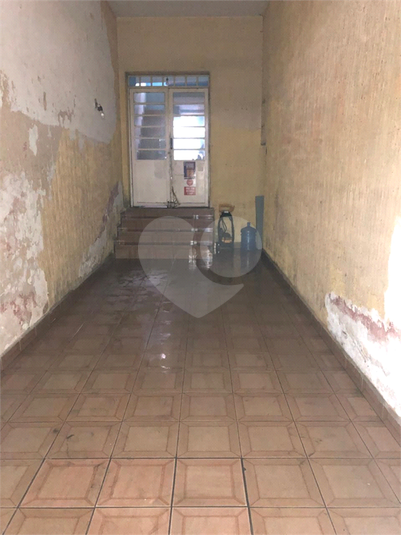 Foto REO1077850