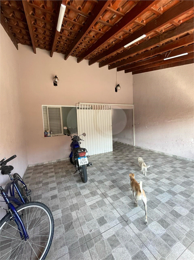 Foto REO1077859