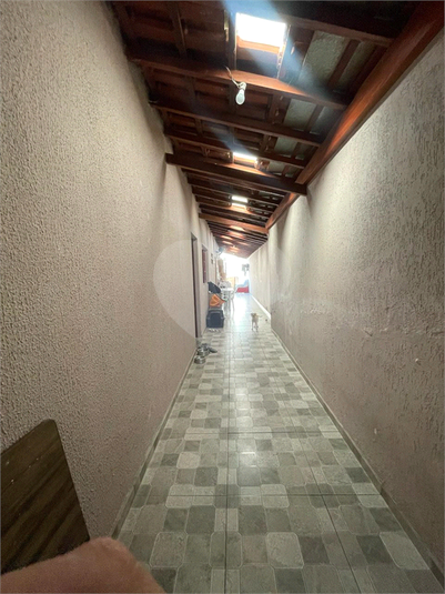 Foto REO1077859