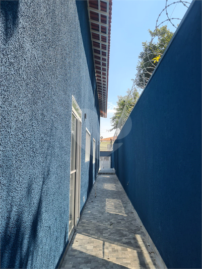 Foto REO1077879