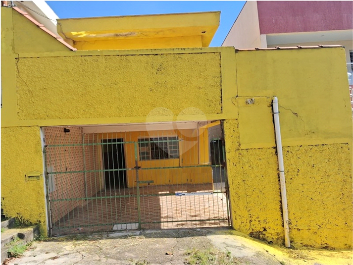 Foto REO1077884