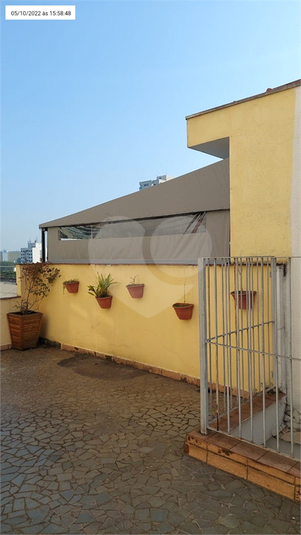 Foto REO1077927