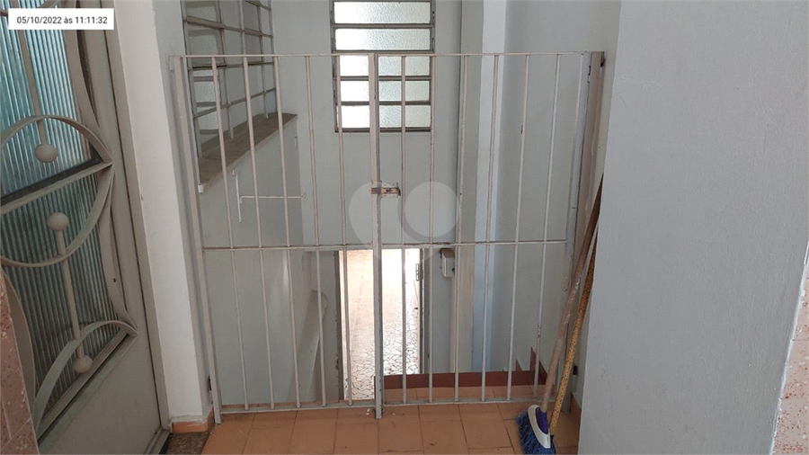 Foto REO1077927