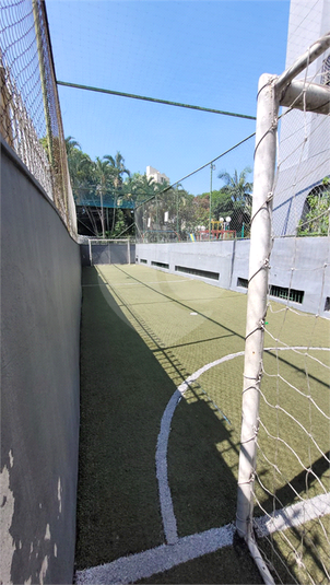 Foto REO1077959