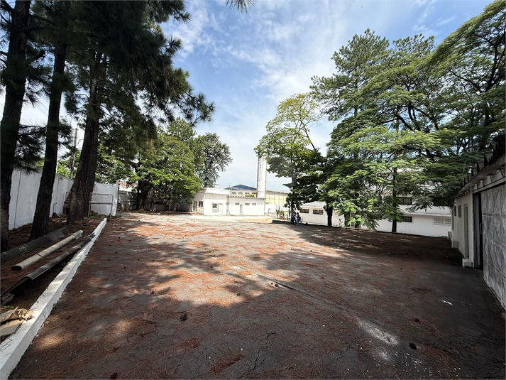 Foto REO1077963