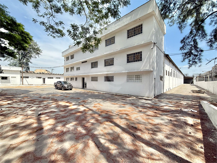 Foto REO1077963